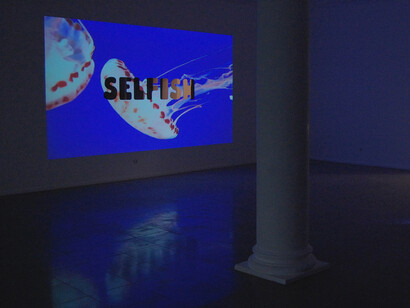 Pedro Cabral Santo, *Selfish*, 2014, vídeo-instalação. Cortesia Mirian Nogueira Tavares