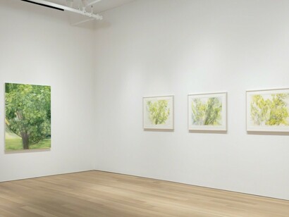 Sylvia Plimack Mangold, Exhibition view. Courtesy of Alexander and Bonin