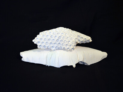 Kara Rooney, On Moving Farther Away From Speech, or Hindsight is Twenty/Twenty, No. 4, 2014, Plaster and ceramic with digital photograph, 4 ¾ x 10 ½ x 4 inches, Copyright Kara Rooney. Courtesy Driscoll Babcock Galleries  