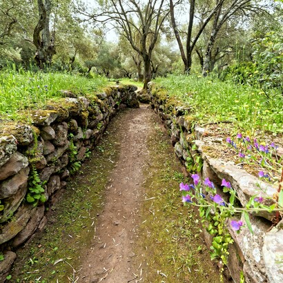 Area archeologica del santuario nuragico di Santa Cristina, Paulilatino, Oristano, Italia. Foto di Holger Uwe Schmitt