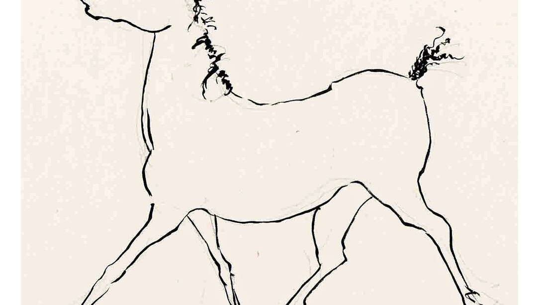 Elizabeth Porter, Horse