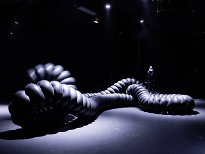 Cod.Act, πTon, 2017