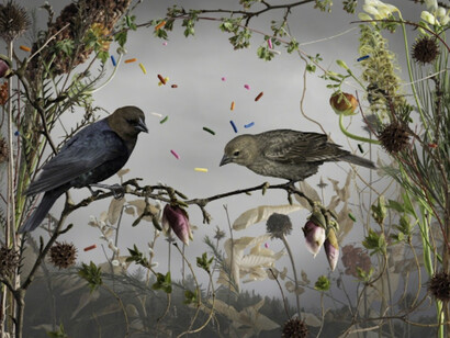 Confected, Exhibition view. Courtesy of Richard Levy Gallery