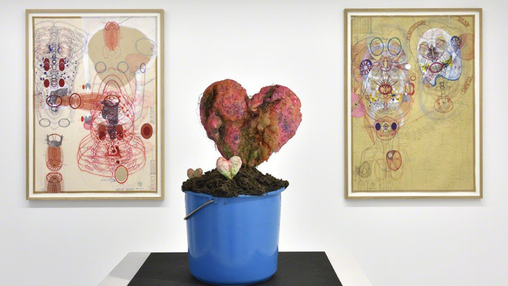 De humani corporis fabrica. Courtesy of Christophe Gaillard