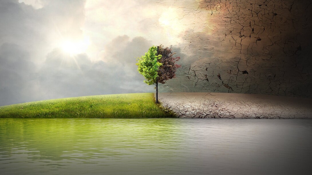 Before the Flood