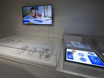 Judith Schaechter, Super/Natural, exhibition view. Courtesy of Museum of Craft and Design 