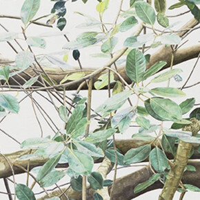 Resonating Spaces. Courtesy of Fondation Beyeler