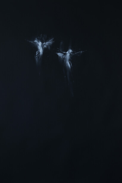 Jake Wood-Evans, Two lights dancing in the light