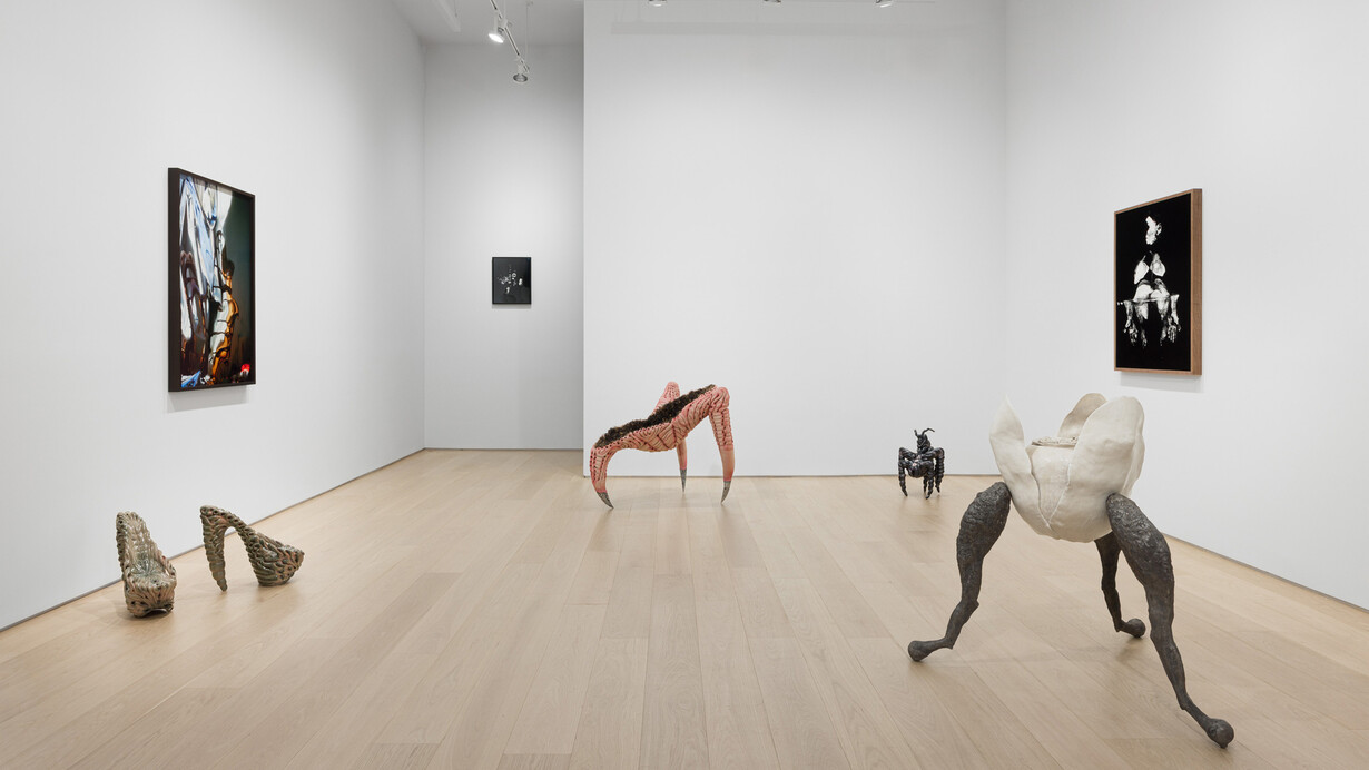 Various artists, Under the skin, exhibition view. Courtesy of Asya Geisberg Gallery