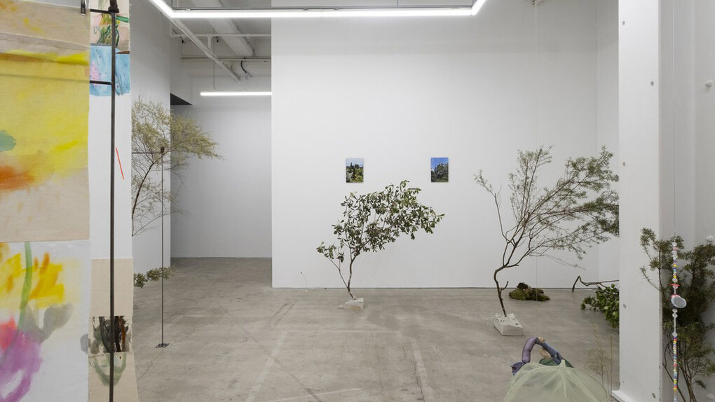 Sena Park, I touch the surface, we draw wild beauty, exhibition view. Courtesy of Enjoy Contemporary Art Space