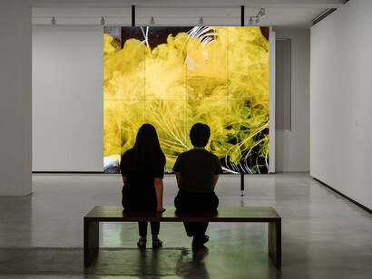 Various artists, Artists in focus, exhibition view. Courtesy of MCA