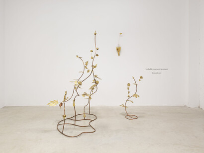 Blanca Gracia, Mala hierba nunca muere (Weeds never die), exhibition view. Courtesy Prats Nogueras Blanchard Barcelona/Madrid. Photo by Roberto Ruiz