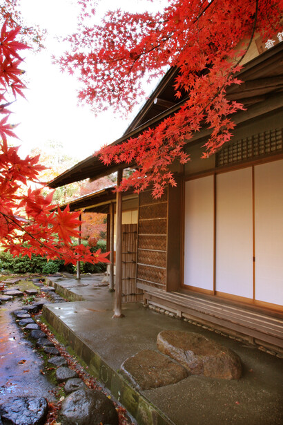 “Hikin-sai” teahouse and garden © Nezu Museum