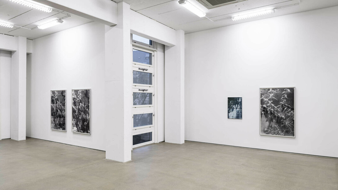 Berit Schneidereit, The interstices of this place, ausstellungsansicht. Mit freundlicher genehmigung der G2 Kunsthalle