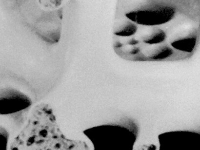 Image Spaces: Biology and Building. Courtesy of Museum für Fotografie
