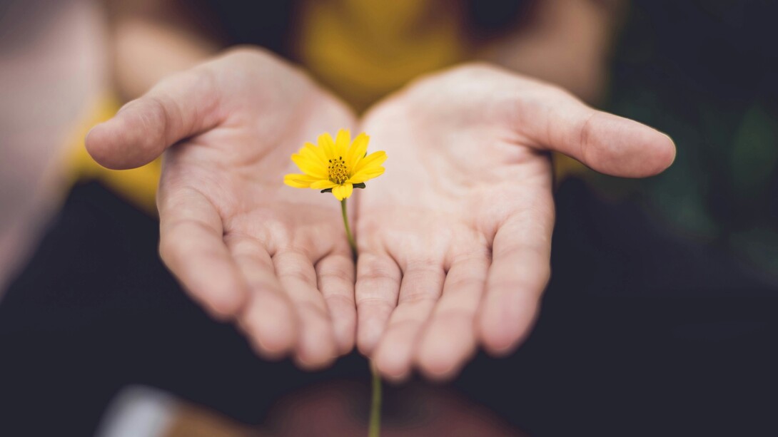 La mindfulness inizia quando smettiamo di dare per scontato ciò che viviamo ogni giorno