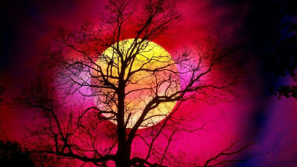 Red moon