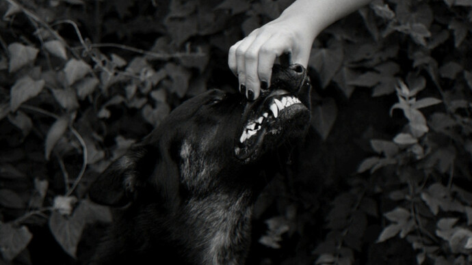Crux. Courtesy of Kopeikin Gallery