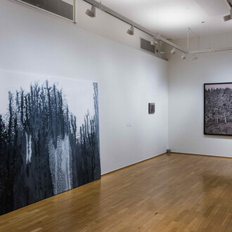 Divers artistes, La forêt. Solitudes et solidarités, vue d’exposition. Courtoisie de Cercle Cité