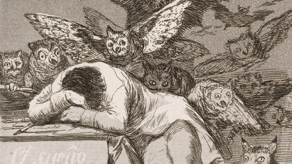 Francisco de Goya, Capricho № 43: El sueño de la razón produce monstruos (1799, detalle)