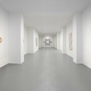 Philippe Decrauzat, Teatro anatomico, exhibition view. Courtesy of Galleria Poggiali