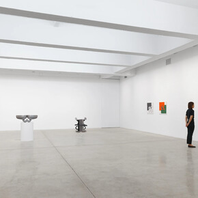 Sherrill Roland, The turning away from, exhibition view. Courtesy of Tanya Bonakdar Gallery