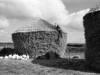 Bill Hammond Thatching a Rick, Westacott, Riddlecombe, Devon, 1986, James Ravillious for the Beaford Archive