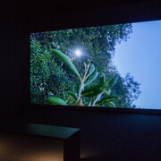 Various artists, Don’t wait for me, just tell me where you’re going, exhibition view. Courtesy of The Baltimore Museum of Art