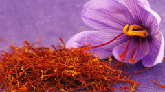 Il fiore del croco e lo zafferano