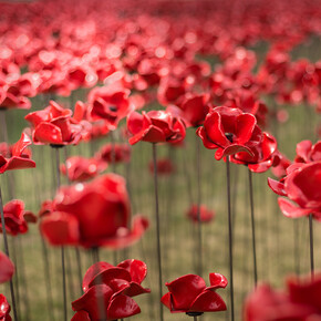 All images © Richard Lea-Hair and Historic Royal Palaces