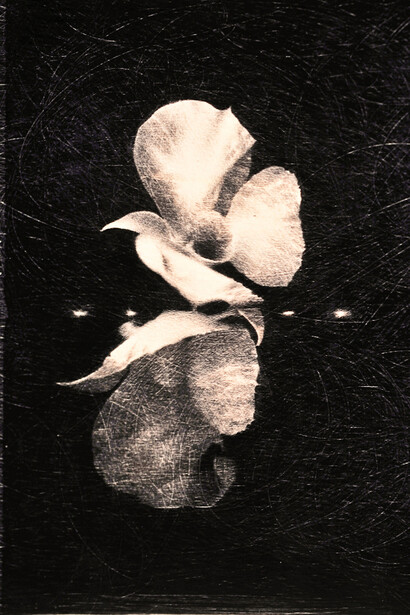 Omar Galliani