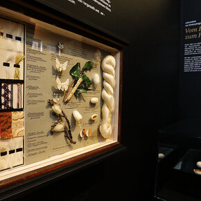 Faszinierende schätze, ausstellungsansicht. Mit freundlicher genehmigung des Naturkundemuseums