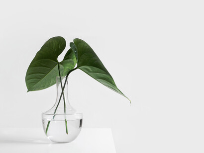 È arrivato il momento di assumere una posizione attiva e responsabile rispetto al cambiamento del nostro stile di vita