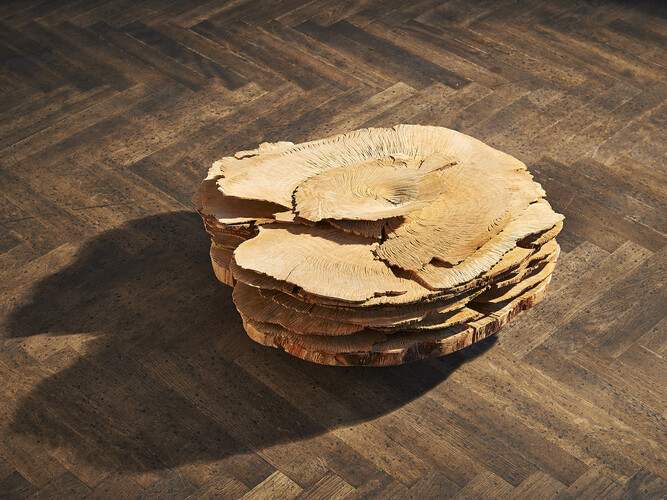 Herbert Golser, flora, 2012, cherry woord, 58 x 55 x 27 cm