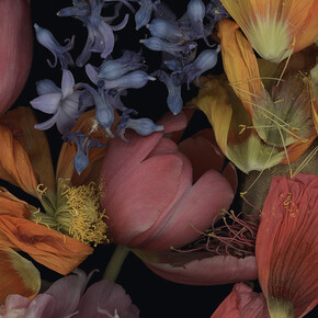 Luzia Simons, Stockage 198, 2022. Courtesy Galerija Fotografija