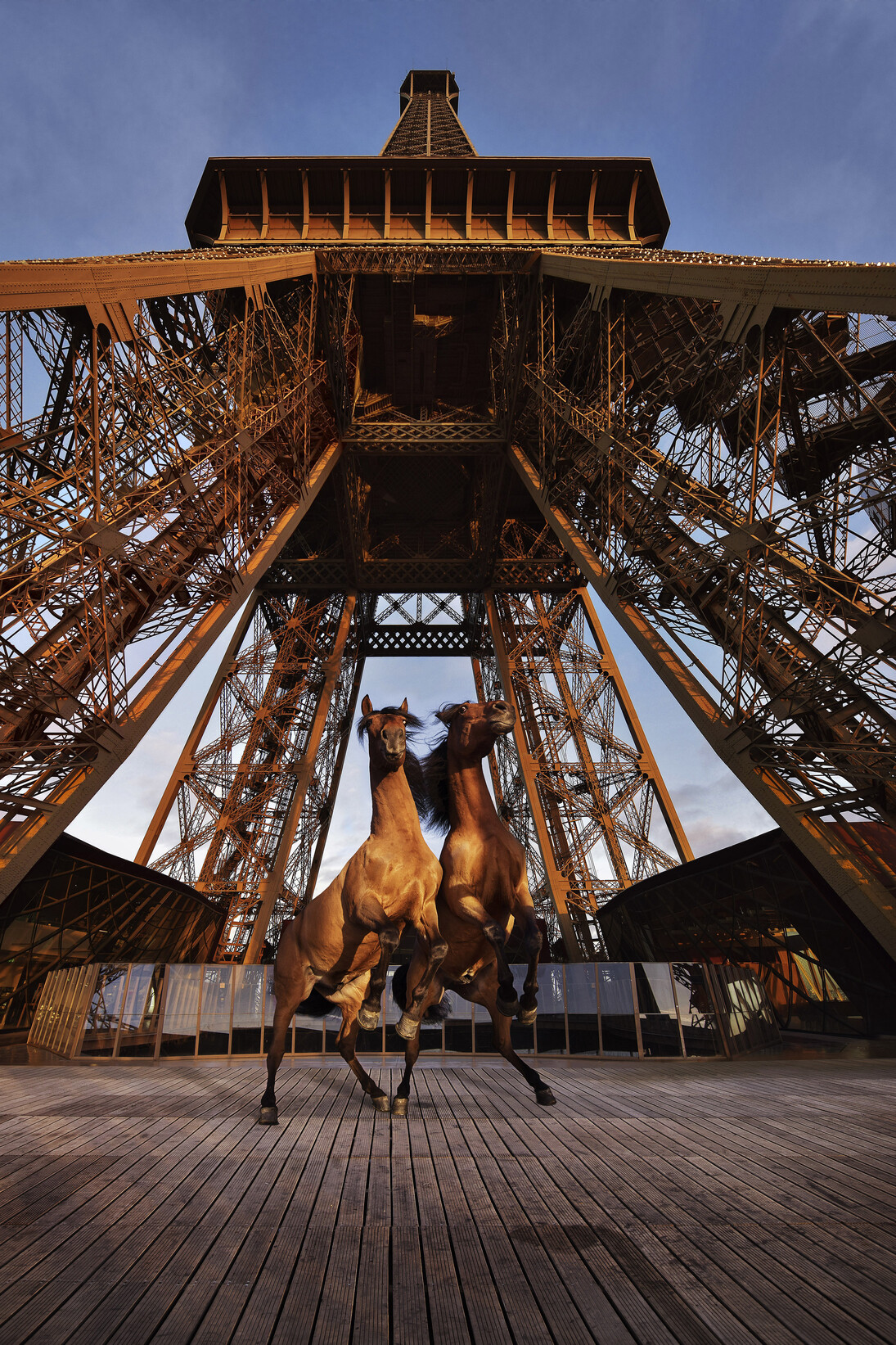 Paola Pivi, "Yee-Haw", 2015, Digital Print mounted on dibond and diasec. Photography by
Hugo Glendinning / Photogaphie digitale montée sur dibond et diasec. Photographie par Hugo Glendinning, 219 x 180 cm / 86 1/4 x 70 3/4 in, Courtesy Galerie Perrotin