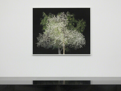 Amir Zaki. Courtesy of Edward Cella Art & Architecture
