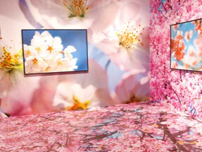 Laboratory for Chinese Contemporary Photography. Courtesy of Mori Art Museum