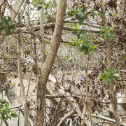 This is climate change. Courtesy of Southeast Museum of Photography