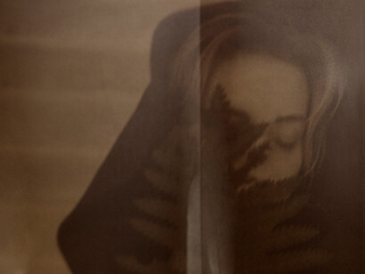 Patricia Heal, Willow, 2014, giclee print