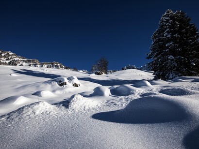 Winterlight, ph. by M. Stillwater