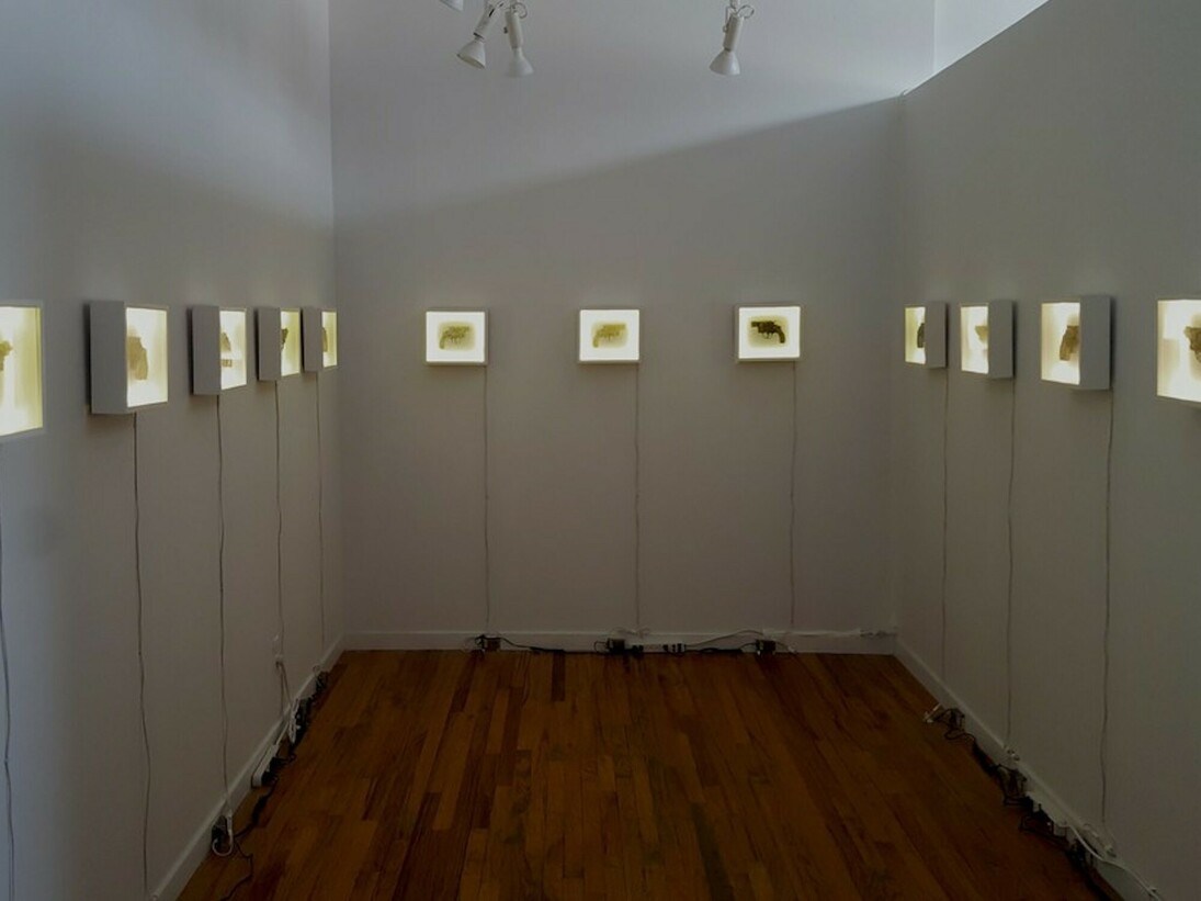 Nikki Luna. Play Ground, Exhibition view. Courtesy of Owen James Gallery
