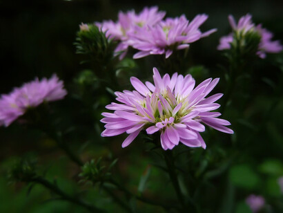 Nulla come l’esperienza della fragilità, dell’incertezza, della fatica, lascia intravedere cosa veramente vogliamo fare del tempo che ci è dato