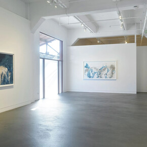 Meghann Riepenhoff, State shift, exhibition view. Courtesy of Haines Gallery 