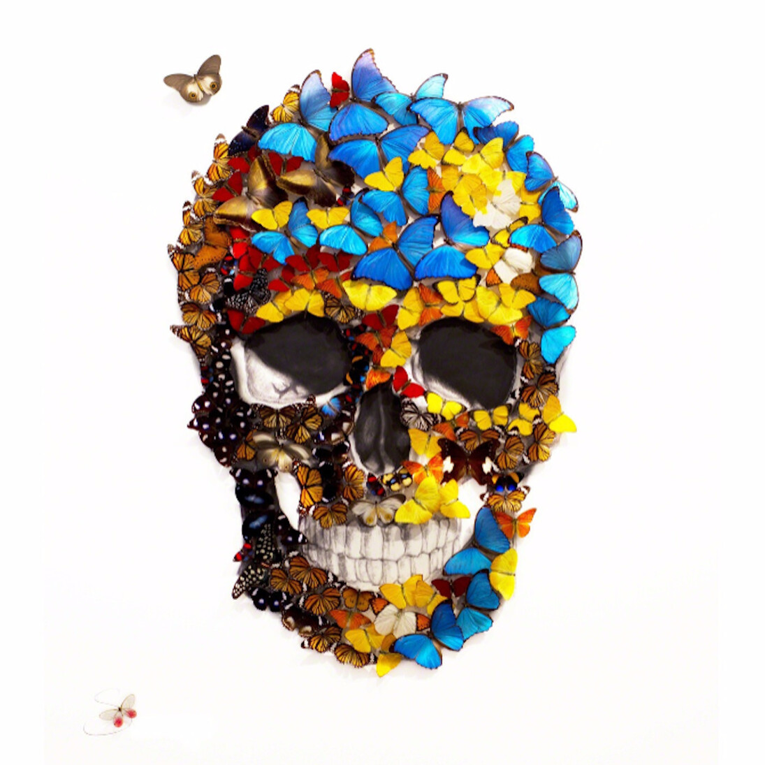 Horses, Dogs and Lions. Courtesy of Eden Fine Art