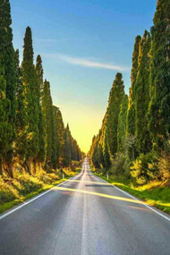 Il viale dei Cipressi di Bolgheri, nel cuore della Maremma livornese