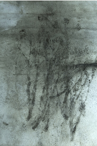 Edgar Massul  *das tuas margens, algumas plantas espremidas, 2014 (séries)