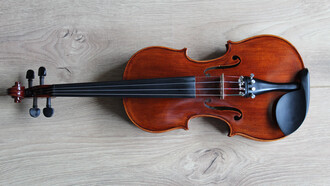 Instrumento musical chamado de viola
