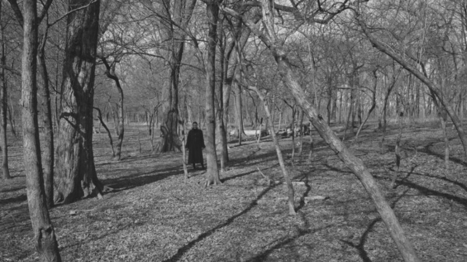 Harry Callahan. Courtesy of Robert Mann Gallery