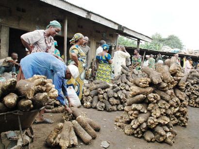 Les gens achètent du manioc au marché Yam Bodija à Ibadan , Nigeria Photo © News